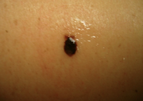 Skärmavbild 2014-12-26 kl. 15.43.11