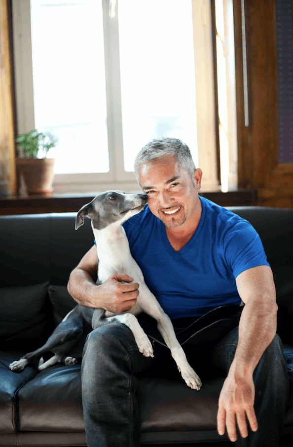 Skärmavbild 2016-01-13 kl. 16.30.11